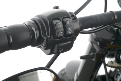 HARLEY DAVIDSON SPORTSTER XL 1200 48 FORTY