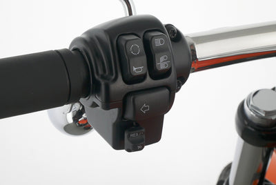 HARLEY DAVIDSON SOFTAIL BREAKOUT 117