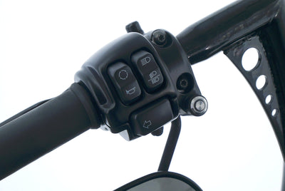 HARLEY DAVIDSON XL 1200 SPORTSTER FORTY