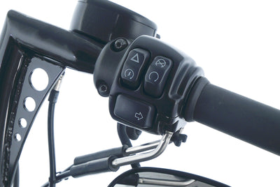 HARLEY DAVIDSON XL 1200 SPORTSTER FORTY