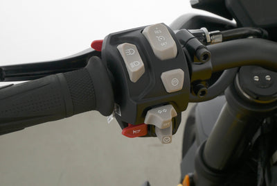 TRIUMPH STREET TRIPLE 765 RS