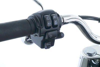 HARLEY DAVIDSON SOFTAIL FAT BOY 114