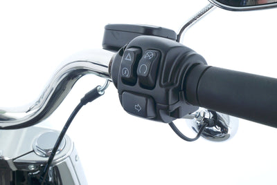 HARLEY DAVIDSON SOFTAIL FAT BOY 114