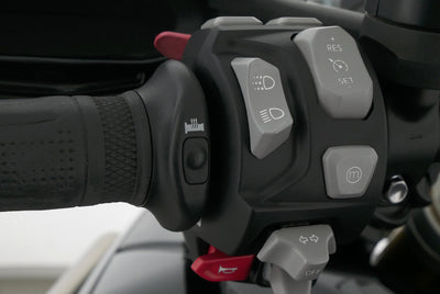 TRIUMPH TIGER 1200 RALLY EXPLORER