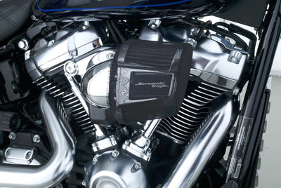 HARLEY DAVIDSON SOFTAIL FAT BOY 114