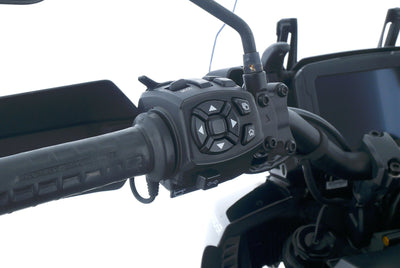 HARLEY DAVIDSON PAN AMERICA SPECIAL