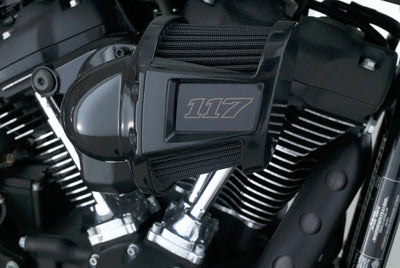 HARLEY DAVIDSON LOW RIDER ST 117