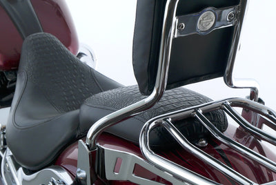 HARLEY DAVIDSON SOFTAIL BREAKOUT