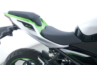 KAWASAKI NINJA e-1