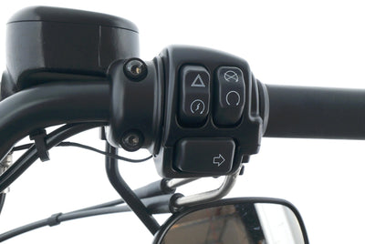 HARLEY DAVIDSON SPORTSTER XL 1200 48 FORTY
