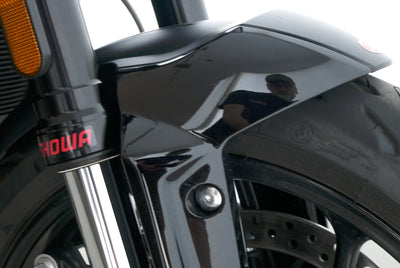 TRIUMPH TRIDENT 660