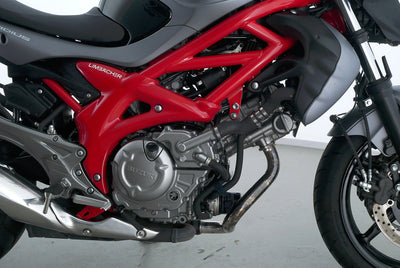 SUZUKI SFV 650 GLADIUS