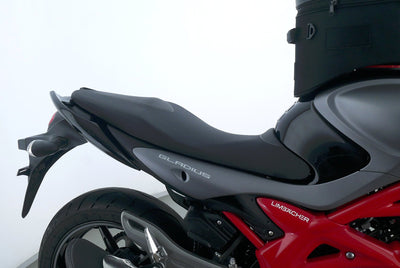 SUZUKI SFV 650 GLADIUS