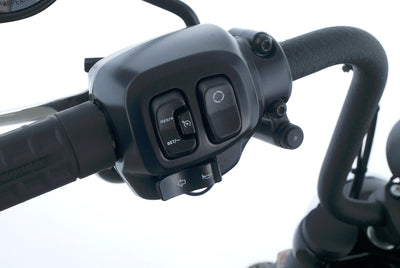 HARLEY DAVIDSON SOFTAIL STREET BOB