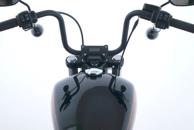 HARLEY DAVIDSON SOFTAIL STREET BOB 114