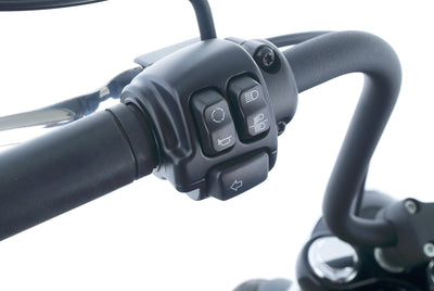 HARLEY DAVIDSON SOFTAIL STREET BOB 114