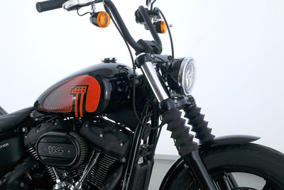 HARLEY DAVIDSON SOFTAIL STREET BOB 114