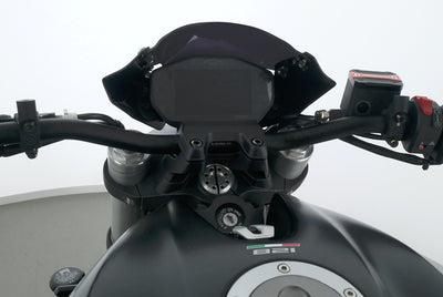 DUCATI MONSTER 821 STEALTH