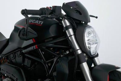 DUCATI MONSTER 821 STEALTH