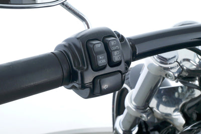 HARLEY DAVIDSON SOFTAIL BREAKOUT