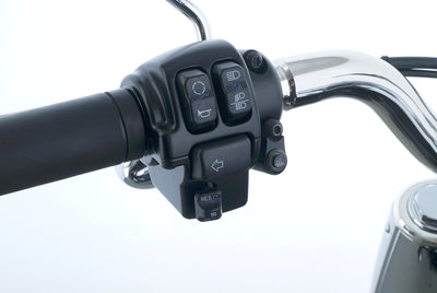 HARLEY DAVIDSON SOFTAIL FAT BOY 114