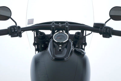 HARLEY DAVIDSON SOFTAIL FAT BOB 114