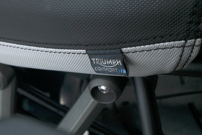 TRIUMPH TIGER 1200 ALPINE EDITION