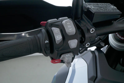 TRIUMPH TIGER 1200 ALPINE EDITION