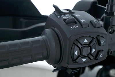 HARLEY DAVIDSON PAN AMERICA