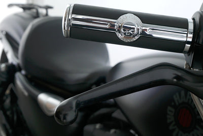 HARLEY DAVIDSON SPORTSTER XL 883 N IRON