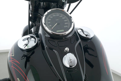 HARLEY DAVIDSON SOFTAIL CROSS BONES