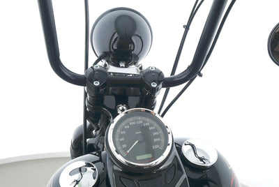 HARLEY DAVIDSON SOFTAIL CROSS BONES