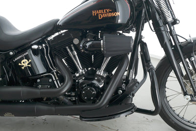 HARLEY DAVIDSON SOFTAIL CROSS BONES