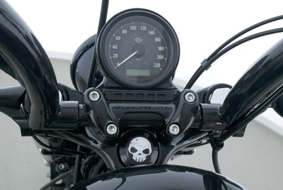 HARLEY DAVIDSON SPORTSTER XL 1200 48 FORTY