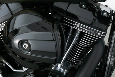 HARLEY DAVIDSON SOFTAIL SLIM S