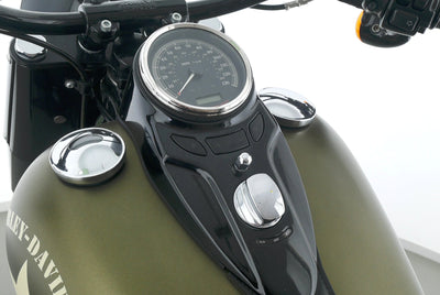HARLEY DAVIDSON SOFTAIL SLIM S