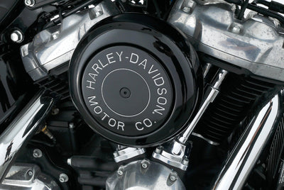 HARLEY DAVIDSON SOFTAIL STANDARD