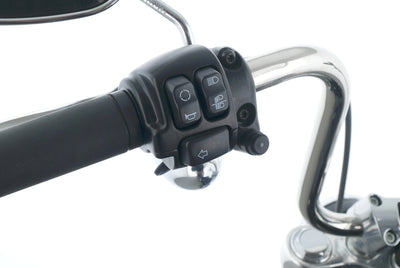 HARLEY DAVIDSON SOFTAIL STANDARD