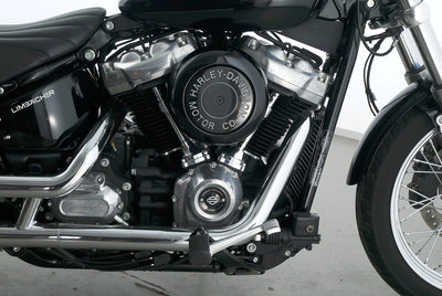 HARLEY DAVIDSON SOFTAIL STANDARD