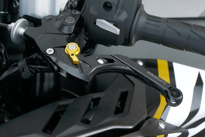 KAWASAKI ZX 10 RR ARASHI EDITION