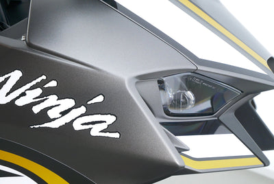 KAWASAKI ZX 10 RR ARASHI EDITION