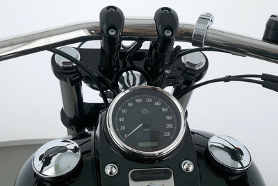HARLEY DAVIDSON DYNA FAT BOB