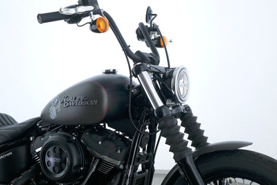 HARLEY DAVIDSON SOFTAIL STREET BOB