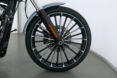 HARLEY DAVIDSON SOFTAIL BREAKOUT 117