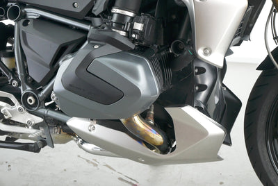 BMW R 1250 R