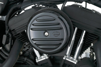 HARLEY DAVIDSON SPORTSTER XL 1200 IRON