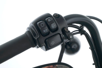 HARLEY DAVIDSON SPORTSTER XL 1200 IRON