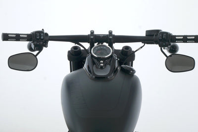 HARLEY DAVIDSON SOFTAIL FAT BOB 114