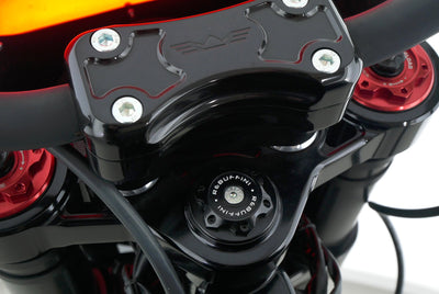 HARLEY DAVIDSON DYNA LOW RIDER S