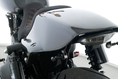 HARLEY DAVIDSON DYNA LOW RIDER S